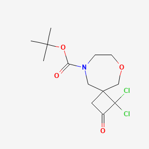 molecular formula C13H19Cl2NO4 B13551880 Tert-butyl 1,1-dichloro-2-oxo-6-oxa-9-azaspiro[3.6]decane-9-carboxylate 