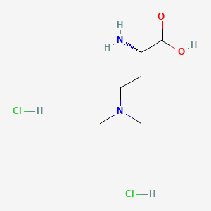 molecular formula C6H16Cl2N2O2 B13552027 (2S)-2-amino-4-(dimethylamino)butanoicaciddihydrochloride CAS No. 2824986-84-5