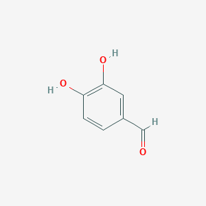 molecular formula C7H6O3 B013553 Protocatechualdehyde CAS No. 139-85-5