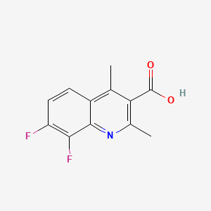 molecular formula C12H9F2NO2 B13553005 7,8-Difluoro-2,4-dimethylquinoline-3-carboxylicacid 