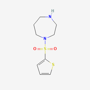 molecular formula C9H14N2O2S2 B13556682 1-(Thiophene-2-sulfonyl)-1,4-diazepane 