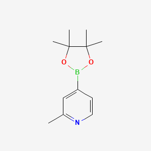 molecular formula C12H18BNO2 B1355795 2-Methyl-4-(4,4,5,5-tetramethyl-1,3,2-dioxaborolan-2-yl)pyridine CAS No. 660867-80-1