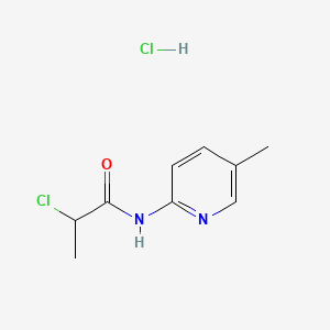 molecular formula C9H12Cl2N2O B13558520 2-chloro-N-(5-methylpyridin-2-yl)propanamidehydrochloride 