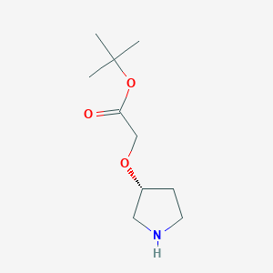 molecular formula C10H19NO3 B13560040 tert-Butyl (R)-2-(pyrrolidin-3-yloxy)acetate 
