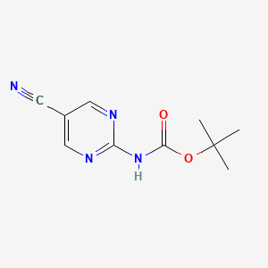 molecular formula C10H12N4O2 B13560169 Tert-butyl (5-cyanopyrimidin-2-yl)carbamate 