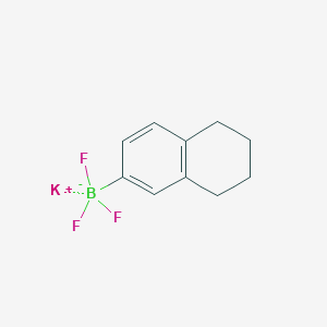 molecular formula C10H11BF3K B13561366 Potassium trifluoro(5,6,7,8-tetrahydronaphthalen-2-yl)borate 