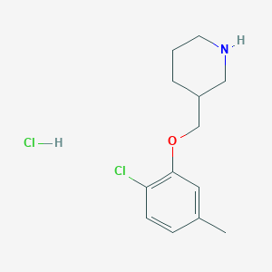 molecular formula C13H19Cl2NO B1356149 2-Chloro-5-methylphenyl 3-piperidinylmethyl ether hydrochloride CAS No. 1050509-67-5