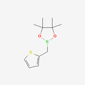 molecular formula C11H17BO2S B13561508 2-(Thiophen-2-YL)methyl-4,4,5,5-tetramethyl-[1,3,2]dioxaborolane 