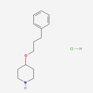 molecular formula C14H22ClNO B1356153 4-(3-Phenylpropoxy)piperidine hydrochloride CAS No. 745066-62-0