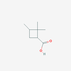 molecular formula C8H14O2 B13562224 2,2,3-Trimethylcyclobutane-1-carboxylicacid 