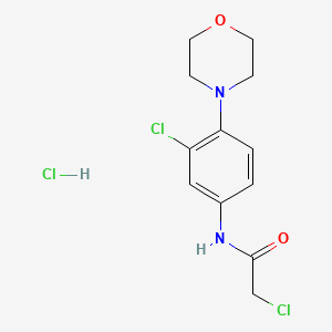 molecular formula C12H15Cl3N2O2 B1356255 2-chloro-N-(3-chloro-4-morpholin-4-ylphenyl)acetamide hydrochloride 