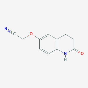 molecular formula C11H10N2O2 B13564468 2-[(2-Oxo-1,2,3,4-tetrahydroquinolin-6-yl)oxy]acetonitrile 