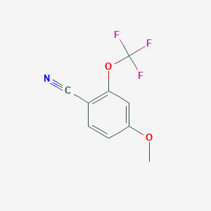molecular formula C9H6F3NO2 B1356663 4-甲氧基-2-(三氟甲氧基)苯甲腈 CAS No. 886502-33-6