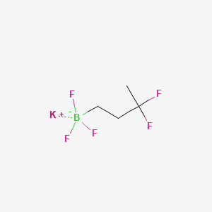 molecular formula C4H7BF5K B13567573 Potassium (3,3-difluorobutyl)trifluoroborate 