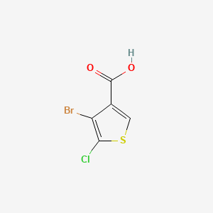 molecular formula C5H2BrClO2S B13568616 4-Bromo-5-chlorothiophene-3-carboxylicacid 