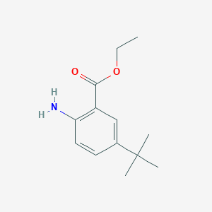 molecular formula C13H19NO2 B13569034 Ethyl 2-amino-5-(tert-butyl)benzoate 