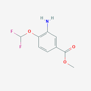 molecular formula C9H9F2NO3 B13569429 Methyl 3-amino-4-(difluoromethoxy)benzoate 