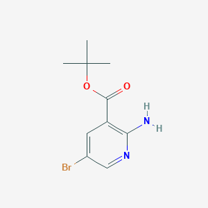 molecular formula C10H13BrN2O2 B13570274 tert-Butyl 2-amino-5-bromonicotinate 