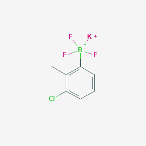 molecular formula C7H6BClF3K B13571624 Potassium (3-chloro-2-methylphenyl)trifluoroborate 