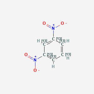 molecular formula C6H4N2O4 B1357199 1,3-Dinitrobenzene-13C6 CAS No. 201595-60-0