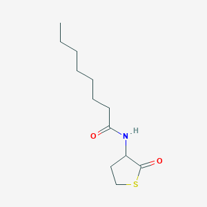 molecular formula C12H21NO2S B13572540 N-(2-oxothiolan-3-yl)octanamide 