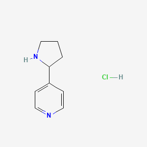 molecular formula C9H13ClN2 B13572721 4-(Pyrrolidin-2-yl)pyridinehydrochloride 