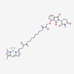 molecular formula C37H43BF2N6O7 B13573047 BODIPY FL thalidomide 