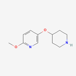 molecular formula C11H16N2O2 B13573205 2-Methoxy-5-(piperidin-4-yloxy)pyridine 