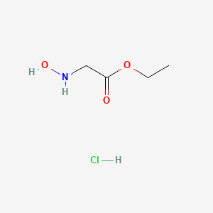 molecular formula C4H10ClNO3 B13573674 ethyl 2-(N-hydroxyamino)acetate hydrochloride CAS No. 1177811-48-1