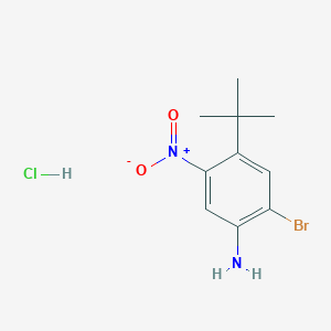 molecular formula C10H14BrClN2O2 B13573705 2-Bromo-4-tert-butyl-5-nitroanilinehydrochloride 