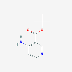molecular formula C10H14N2O2 B13573865 tert-Butyl 4-aminonicotinate 