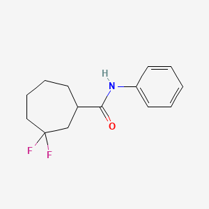 molecular formula C14H17F2NO B13574007 3,3-difluoro-N-phenylcycloheptane-1-carboxamide 
