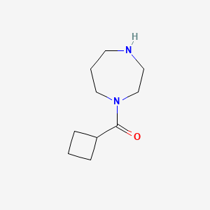 molecular formula C10H18N2O B1357410 1-(环丁基羰基)-1,4-二氮杂环烷 CAS No. 926193-28-4