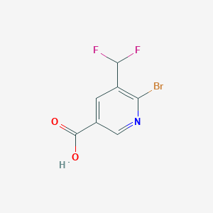 molecular formula C7H4BrF2NO2 B13574435 6-Bromo-5-(difluoromethyl)nicotinic acid 