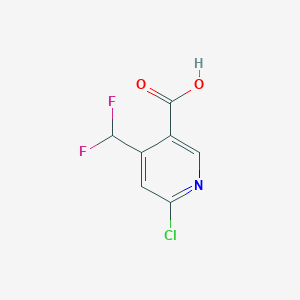 molecular formula C7H4ClF2NO2 B13574784 6-Chloro-4-(difluoromethyl)nicotinic acid 