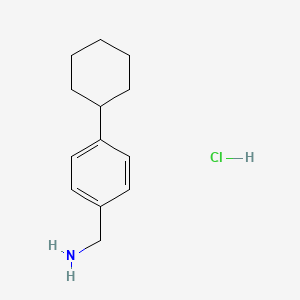 molecular formula C13H20ClN B13575048 (4-Cyclohexylphenyl)methanamine hydrochloride 