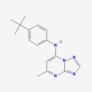 molecular formula C16H19N5 B13575788 N-(4-tert-butylphenyl)-5-methyl-[1,2,4]triazolo[1,5-a]pyrimidin-7-amine 