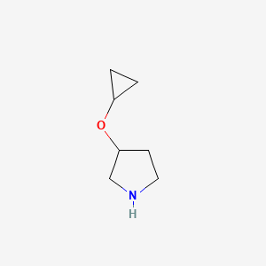 molecular formula C7H13NO B13576369 3-Cyclopropoxypyrrolidine 