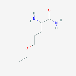 molecular formula C7H16N2O2 B13576760 2-Amino-5-ethoxypentanamide 