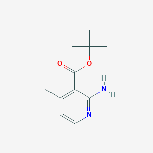 molecular formula C11H16N2O2 B13577504 tert-Butyl 2-amino-4-methylnicotinate 