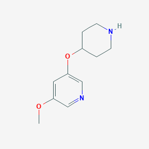 molecular formula C11H16N2O2 B13578945 3-Methoxy-5-(piperidin-4-yloxy)pyridine 