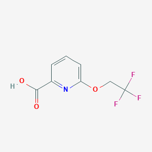 molecular formula C8H6F3NO3 B1357995 6-(2,2,2-Trifluoroethoxy)picolinic acid CAS No. 1247503-48-5