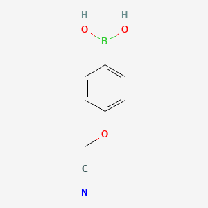 molecular formula C8H8BNO3 B1358117 (4-(Cyanomethoxy)phenyl)boronic acid CAS No. 947533-23-5