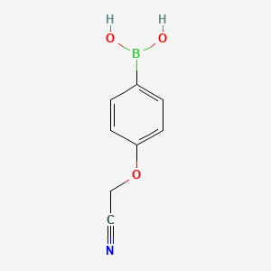 molecular formula C8H8BNO3 B1358117 (4-(氰甲氧基)苯基)硼酸 CAS No. 947533-23-5