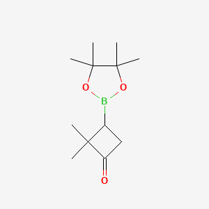 molecular formula C12H21BO3 B13581886 2,2-Dimethyl-3-(tetramethyl-1,3,2-dioxaborolan-2-yl)cyclobutan-1-one 