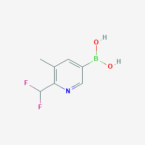 molecular formula C7H8BF2NO2 B13582946 [6-(Difluoromethyl)-5-methylpyridin-3-yl]boronicacid 