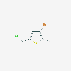 molecular formula C6H6BrClS B13583206 3-Bromo-5-(chloromethyl)-2-methylthiophene 