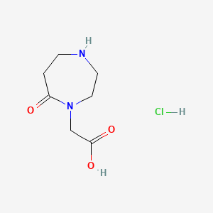 molecular formula C7H13ClN2O3 B13583783 2-(7-Oxo-1,4-diazepan-1-yl)aceticacidhydrochloride 