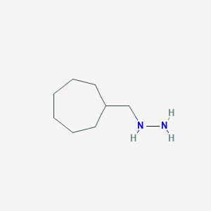 molecular formula C8H18N2 B13585049 (Cycloheptylmethyl)hydrazine CAS No. 887592-15-6