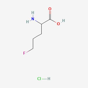 molecular formula C5H11ClFNO2 B13586261 2-Amino-5-fluoropentanoicacidhydrochloride CAS No. 2792186-14-0